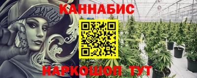 индика Краснознаменск