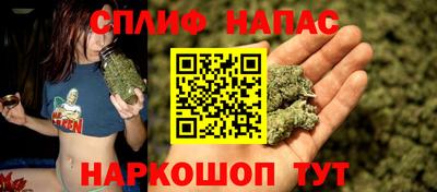 индика Краснознаменск