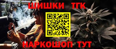 индика Краснознаменск