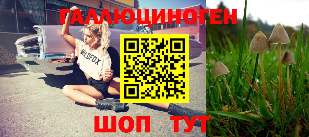 Галлюциногенные грибы Magic Shrooms  Вход с VPN  купить наркотики цена  Кольчугино 